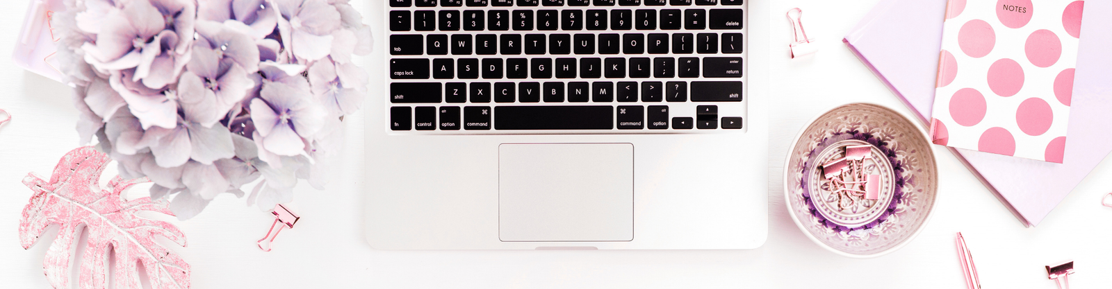 Website Header
